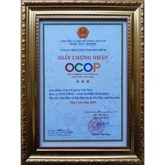 Cao Cà Gai Leo Yên Thủy – Bảo Hiệu (100gr) Thanh Nhiệt, Mát Cơ Thể, Hỗ Trợ Duy Trì Chức Năng Gan Và Sức Khỏe Hằng Ngày