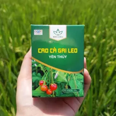 Cao Cà Gai Leo Yên Thủy – Bảo Hiệu (100gr) Thanh Nhiệt, Mát Cơ Thể, Hỗ Trợ Duy Trì Chức Năng Gan Và Sức Khỏe Hằng Ngày