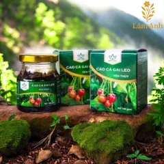 Cao Cà Gai Leo Yên Thủy – Bảo Hiệu (100gr) Thanh Nhiệt, Mát Cơ Thể, Hỗ Trợ Duy Trì Chức Năng Gan Và Sức Khỏe Hằng Ngày