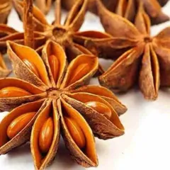 100G Hoa Hồi Khô - Gia Vị Nấu Phở, Hầm Xương, Thơm Đậm Vị, Hoa Hồi Tây Bắc Tự Nhiên, Khô Thơm, Nấu Bò Kho, Kho Cá Thơm