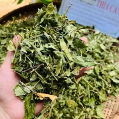 1Kg Dây Thìa Canh Hoà Bình (Sao Vàng Hạ Thổ) Vụ Mới, Khô, Xanh, Hỗ Trợ Ổn Định Đường Huyết, Hỗ Trợ Mỡ Máu, Lợi Tiểu