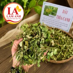 1Kg Dây Thìa Canh Hoà Bình (Sao Vàng Hạ Thổ) Vụ Mới, Khô, Xanh, Hỗ Trợ Ổn Định Đường Huyết, Hỗ Trợ Mỡ Máu, Lợi Tiểu
