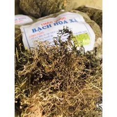 1Kg Bạch Hoa Xà Thiệt Thảo (Sao vàng hạ thổ) Trà túi lọc hỗ trợ K, U bướu