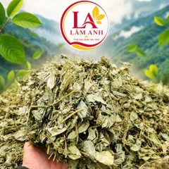 1Kg Kim Tiền Thảo (Sao Vàng Hạ Thổ, Khô Thơm) – Hỗ Trợ Thanh Nhiệt, Lợi Tiểu, Thông Tiểu, Hỗ Trợ Giảm Sỏi, Lợi Mật