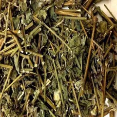 1Kg Cây Cỏ Xước hỗ trợ mát gan, thận, thanh nhiệt, mỡ máu