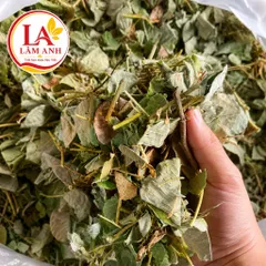1Kg Kim Tiền Thảo (Sao Vàng Hạ Thổ, Khô Thơm) – Hỗ Trợ Thanh Nhiệt, Lợi Tiểu, Thông Tiểu, Hỗ Trợ Giảm Sỏi, Lợi Mật