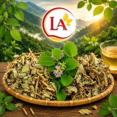 1Kg Kim Tiền Thảo (Sao Vàng Hạ Thổ, Khô Thơm) – Hỗ Trợ Thanh Nhiệt, Lợi Tiểu, Thông Tiểu, Hỗ Trợ Giảm Sỏi, Lợi Mật