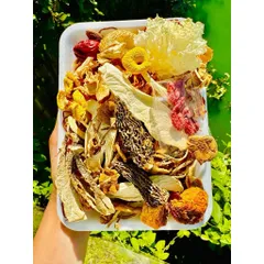 Canh Nấm Dưỡng Sinh 14 Vị Đặc Biệt (Có Kiểm Định) Gói 120g – Tần Gà, Chim, Heo, Lẩu Nấm Thơm Ngon