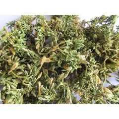 100g Hoa Đu Đủ Đực vụ mới (Sao vàng hạ thổ)