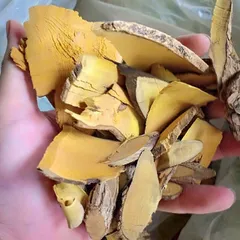 1kg Cây mật gấu