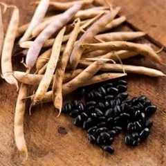 1Kg Đậu Đen Xanh Lòng Rang Sẵn/ Hạt Sống – Đậu Đen Quê Nấu Nước Uống, Nấu Chè, Làm Sữa Hạt Thơm Bùi