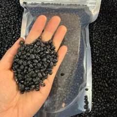 1Kg Đậu Đen Xanh Lòng Rang Sẵn/ Hạt Sống – Đậu Đen Quê Nấu Nước Uống, Nấu Chè, Làm Sữa Hạt Thơm Bùi