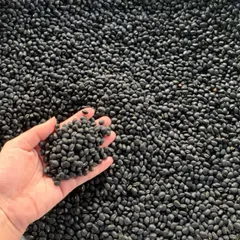 1Kg Đậu Đen Xanh Lòng Rang Sẵn/ Hạt Sống – Đậu Đen Quê Nấu Nước Uống, Nấu Chè, Làm Sữa Hạt Thơm Bùi