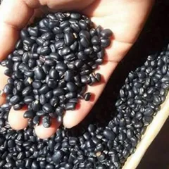 1Kg Đậu Đen Xanh Lòng Rang Sẵn/ Hạt Sống – Đậu Đen Quê Nấu Nước Uống, Nấu Chè, Làm Sữa Hạt Thơm Bùi