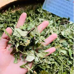 1Kg Túi Lọc Dây Thìa Canh Hoà Bình (Sao Vàng Hạ Thổ) Hỗ Trợ Ổn Định Đường Huyết, Hỗ Trợ Mỡ Máu, Lợi Tiểu