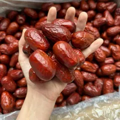 1Kg Táo Đỏ Hoà Điền To Đại (size 8,9 quả) Vị Ngọt Dịu, Thơm Ngon Dùng Pha Trà, Nấu Chè, Chưng Yến, Tiềm Gà, Chưng Yến