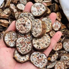 1Kg Chuối hột rừng Tây Bắc (Sao vàng hạ thổ) thái lát sấy khô loại 1 hỗ trợ sỏi thận, tiểu đường, kích thích tiêu hoá