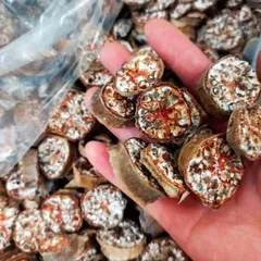 1Kg Chuối hột rừng Tây Bắc (Sao vàng hạ thổ) thái lát sấy khô loại 1 hỗ trợ sỏi thận, tiểu đường, kích thích tiêu hoá