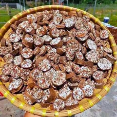 1Kg Chuối hột rừng Tây Bắc (Sao vàng hạ thổ) thái lát sấy khô loại 1 hỗ trợ sỏi thận, tiểu đường, kích thích tiêu hoá