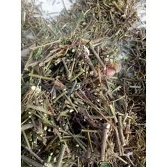 1Kg Cây Xấu Hổ Tím ( Cây Mắc Cỡ) Sao vàng hạ thổ, khô thơm, giúp ngủ ngon, lợi tiểu, giảm đau nhức xương khớp