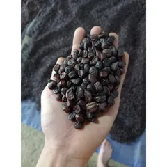 Muối Hạt Dổi Hoà Bình (100g) gia vị chấm thịt luộc, hoa quả, đồ nướng