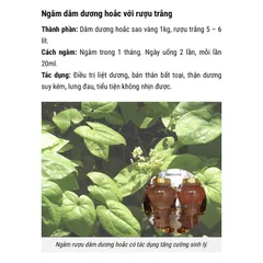 1Kg Dâm Dương Hoắc (Sao vàng hạ thổ, khô thơm)