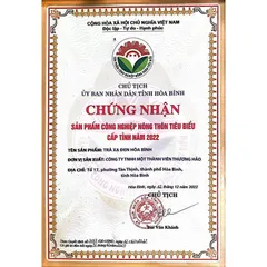 Trà túi lọc Xạ đen Hoà Bình đạt chuẩn GMP-WHO (20 gói x 3gr)