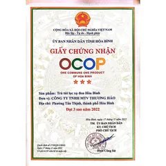 Trà túi lọc Xạ đen Hoà Bình đạt chuẩn GMP-WHO (20 gói x 3gr)