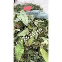 1Kg Cây Thành Ngạnh- Cây Đỏ Ngọn chuẩn