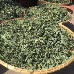 1Kg Bồ Công Anh (Sao Vàng Hạ Thổ, Khô, Thơm) Thanh Lọc Cơ Thể, Mát Gan, Hỗ Trợ Lợi Sữa, Tắc Tia Sữa, Thanh Nhiệt