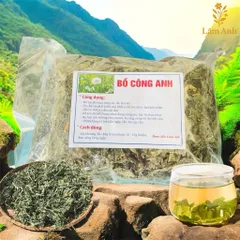 1Kg Bồ Công Anh (Sao Vàng Hạ Thổ, Khô, Thơm) Thanh Lọc Cơ Thể, Mát Gan, Hỗ Trợ Lợi Sữa, Tắc Tia Sữa, Thanh Nhiệt