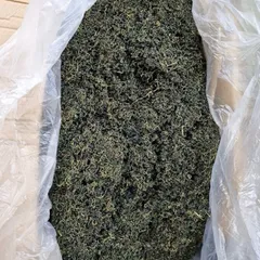 1Kg Bồ Công Anh (Sao Vàng Hạ Thổ, Khô, Thơm) Thanh Lọc Cơ Thể, Mát Gan, Hỗ Trợ Lợi Sữa, Tắc Tia Sữa, Thanh Nhiệt