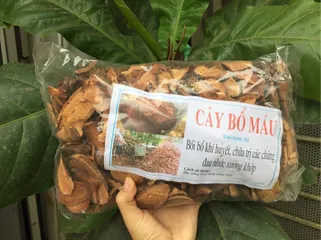 1kg cây bổ máu tăng cân (huyết đằng)