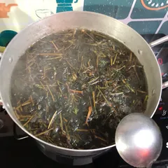 1Kg Cây Dòi thân tím (Bọ Mắm, Bọ dòi) Sao vàng hạ thổ, khô, thơm, hỗ trợ ho, phế quản, phổi, viêm sưng vú, đinh nhọt