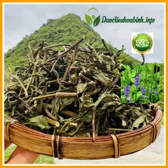 Cây Đuôi Chuột( Sạch mới chuẩn rừng tự nhiên)