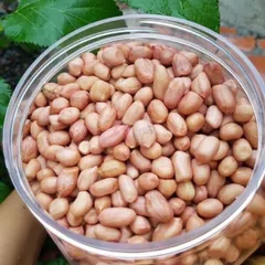 1Kg Lạc Trắng bóc tay (đậu phộng trắng sống)