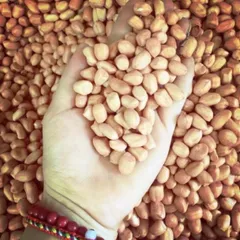 1Kg Lạc Trắng bóc tay (đậu phộng trắng sống)