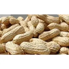 1Kg Lạc Trắng bóc tay (đậu phộng trắng sống)