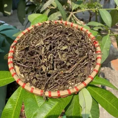 1Kg Râu Mèo (Sao Vàng Hạ Thổ, Khô, Thơm) Hỗ Trợ Lợi Tiểu, Thanh Nhiệt, Giảm Nóng Trong, Pha Trà Uống Hằng Ngày