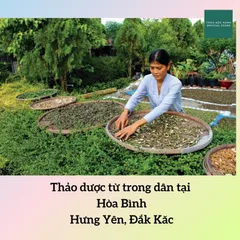1Kg Lá Tắm Bé giúp mát da, ngừa rôm sảy, mẩn ngứa