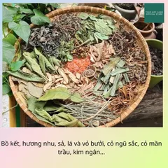 1Kg Lá Tắm Bé giúp mát da, ngừa rôm sảy, mẩn ngứa