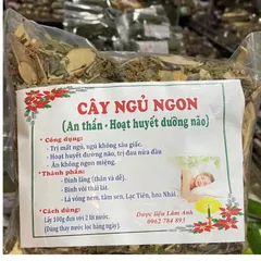 1Kg Lá nam Mất ngủ (Sao vàng hạ thổ, khô, thơm) giúp ngủ ngon sâu giấc, hoạt huyết, đau nửa đầu, ăn ngon miệng