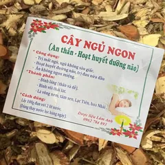 1Kg Lá nam Mất ngủ (Sao vàng hạ thổ, khô, thơm) giúp ngủ ngon sâu giấc, hoạt huyết, đau nửa đầu, ăn ngon miệng
