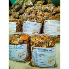 1Kg Lá nam Mất ngủ (Sao vàng hạ thổ, khô, thơm) giúp ngủ ngon sâu giấc, hoạt huyết, đau nửa đầu, ăn ngon miệng