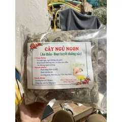 1Kg Lá nam Mất ngủ (Sao vàng hạ thổ, khô, thơm) giúp ngủ ngon sâu giấc, hoạt huyết, đau nửa đầu, ăn ngon miệng
