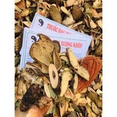 1Kg Lá nam hỗ trợ đau nhức, thoái hoá Xương Khớp (Hiệu quả an toàn)