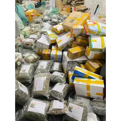 1Kg Lá nam hỗ trợ đau nhức, thoái hoá Xương Khớp (Hiệu quả an toàn)