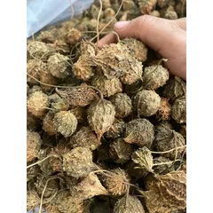 1Kg Khổ Qua (mướp đắng rừng) nguyên quả sấy khô