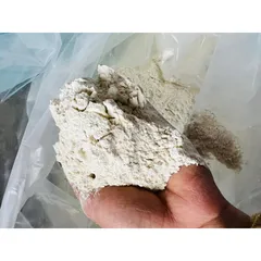1Kg Bột Sâm Tố Nữ Khô Loại 1(đẹp da, cải thiện nội tiết tố)