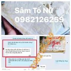 1Kg Bột Sâm Tố Nữ Khô Loại 1(đẹp da, cải thiện nội tiết tố)